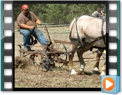 Rae Valley Heritage Association Video - Plowing With a Team of Four Horses