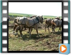 Rae Valley Heritage Association Video - Plowing With Teams of Horses